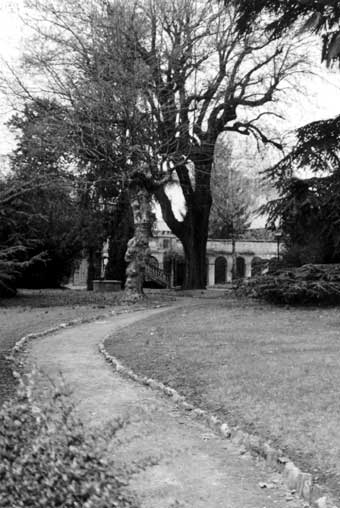 Atelier di Flora Di Domenico Nicolaci (Villa Colla - Rivoli)