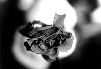 Fotografia di Mirto Lupo