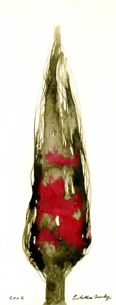 Pioppo - Angela Calella Benlupo 2002