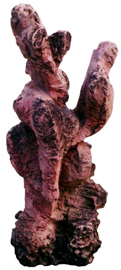 Scomposizione delle Forme