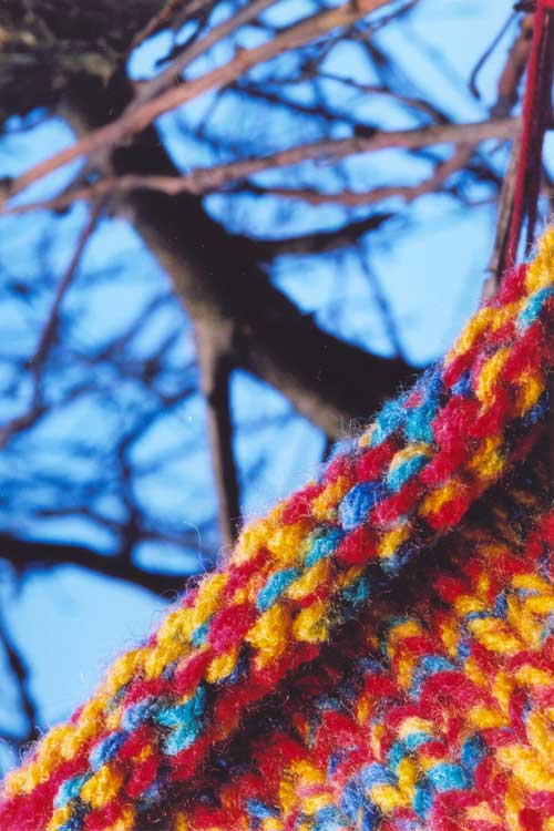 Mirto Lupo - fotografia 2005