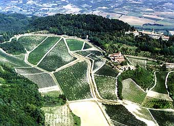 per raggiungere la Tenuta La Tenaglia