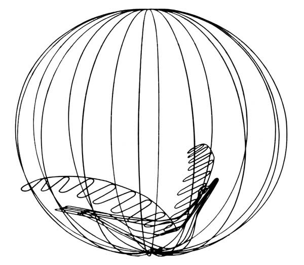 il Gabbiano - Guido Tomasone 2003