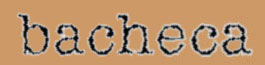 bacheca