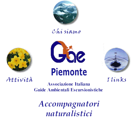 Home Page Associazione Italiana Guide Escursionistiche