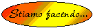 COSA STIAMO FACENDO