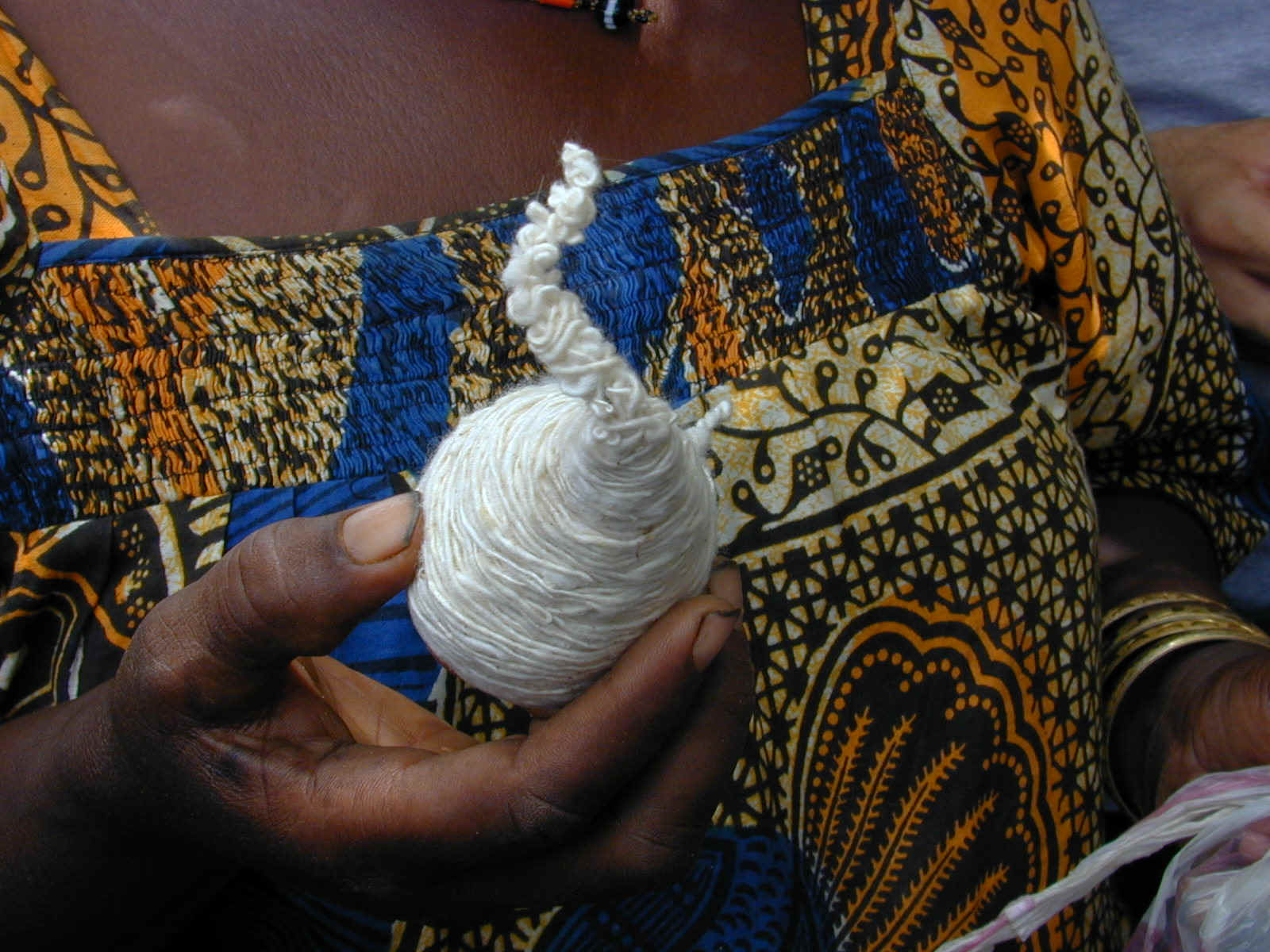 Cotone 2.JPG (420037 byte)