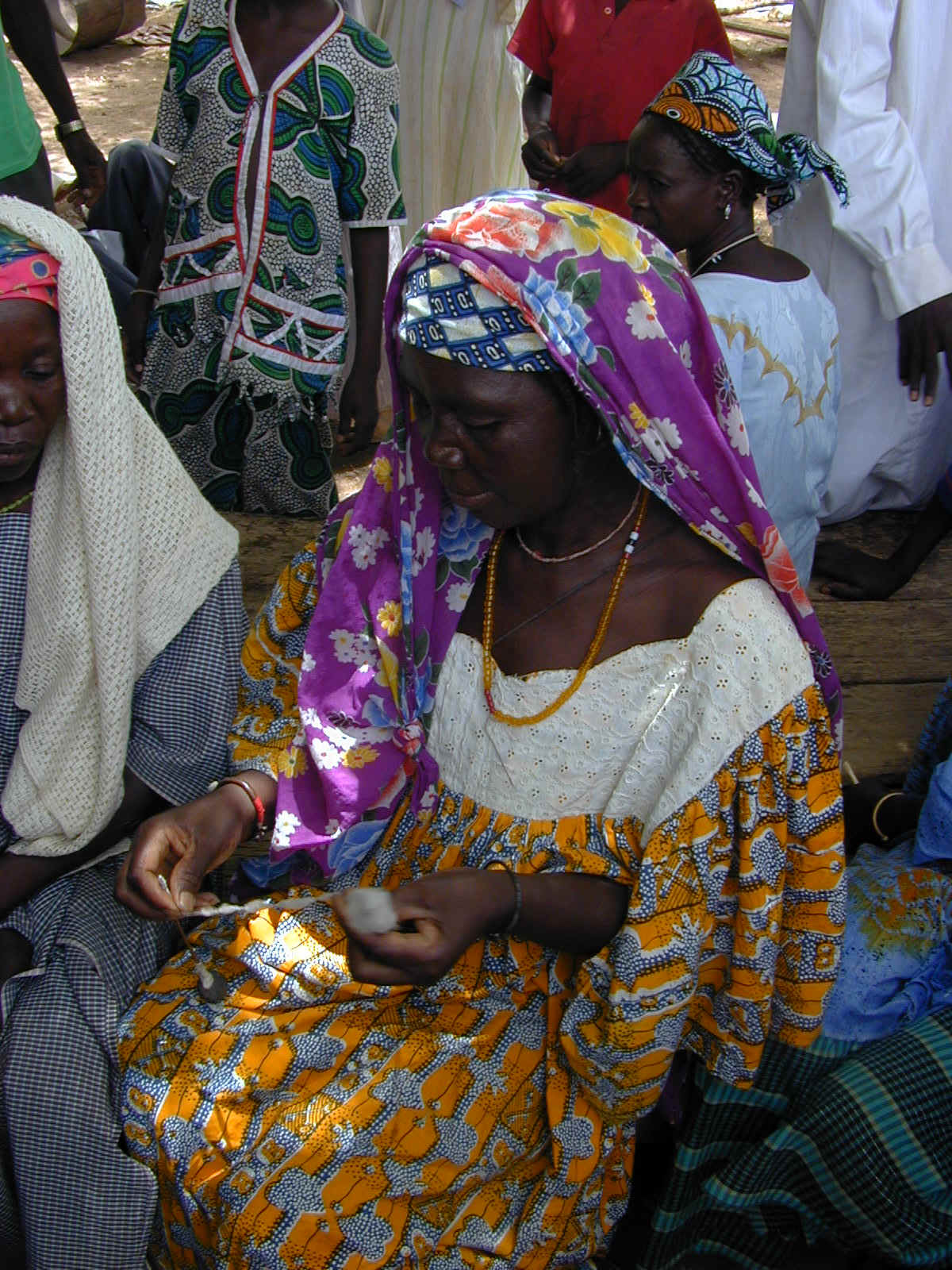 Cotone 4.JPG (434567 byte)