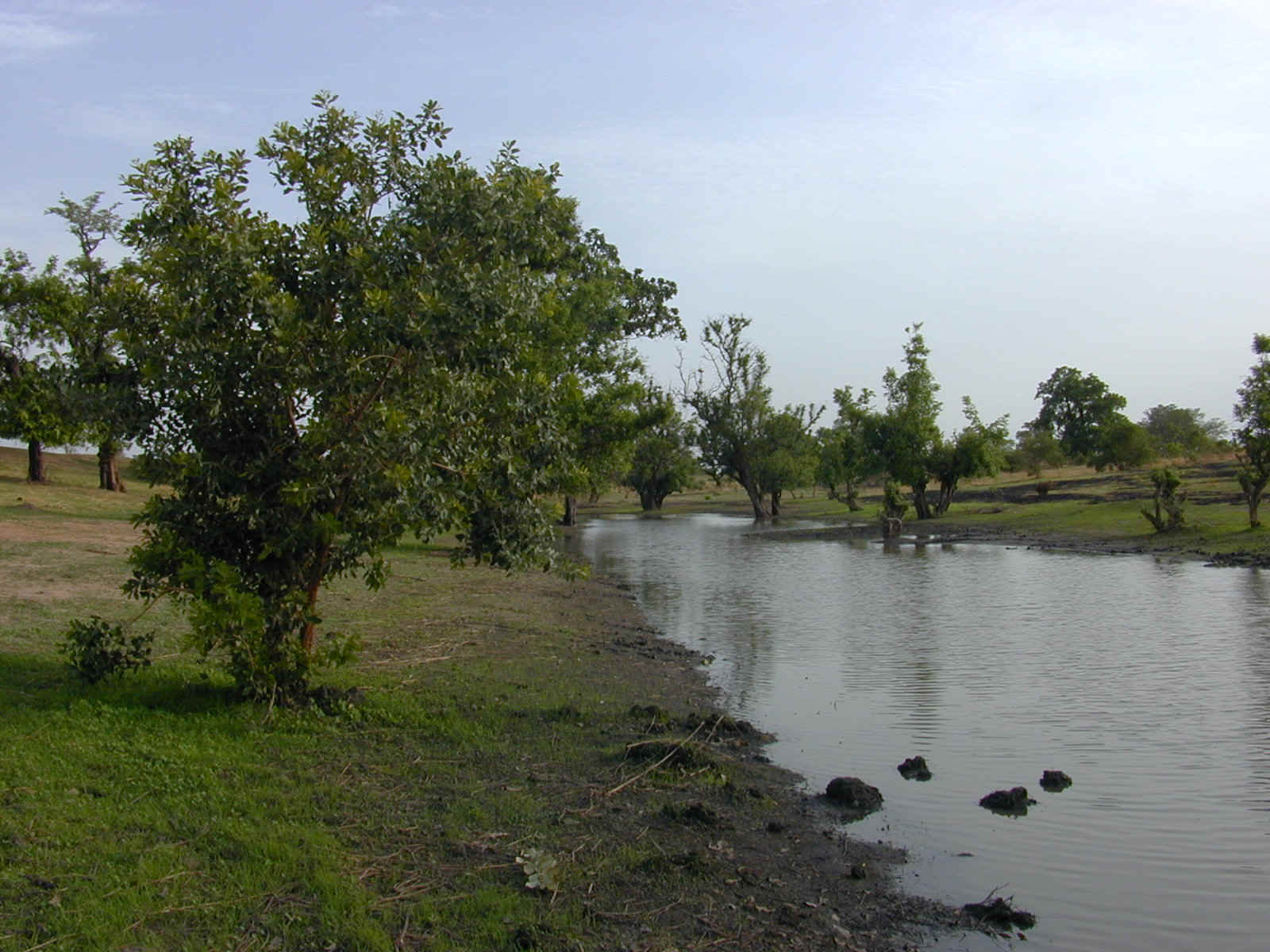 Marigot.JPG (407478 byte)