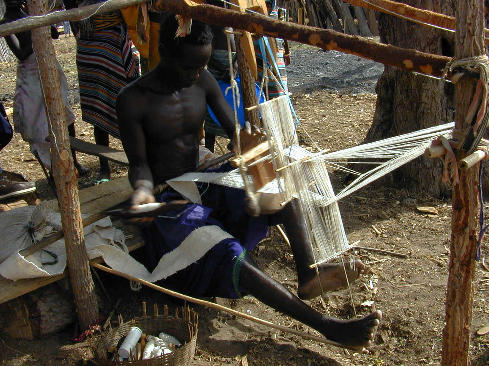 Tessitura4.JPG (431245 byte)