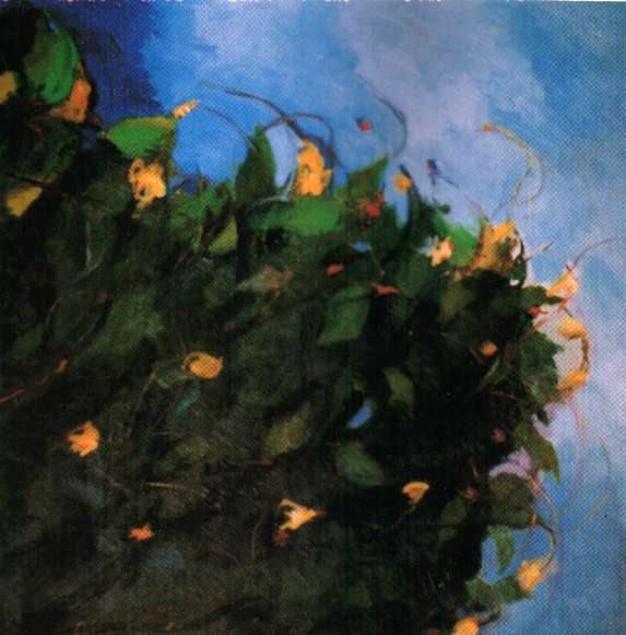 fa981.jpg (37355 byte)