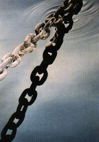 fat984.jpg (35325 byte)