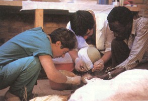 Veterinari al lavoro in Africa